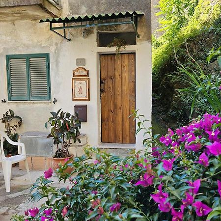 Appartamento Nel Borgo - Casa Del Pellegrino Sulla Via Francigena Aulla Bagian luar foto